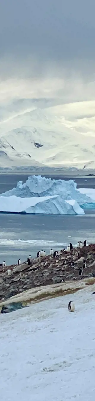 Île Danco